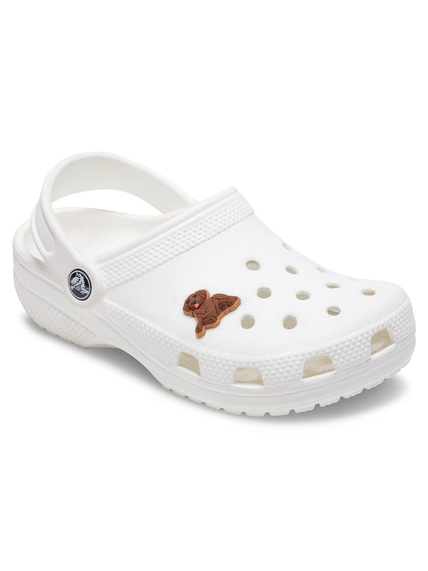 Jibbitz Perro Doberman Café Crocs