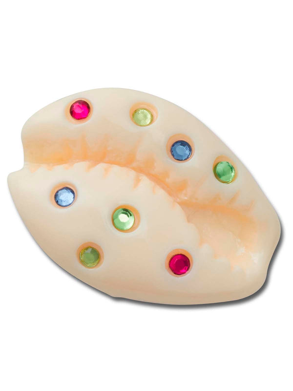 Jibbitz Concha De Mar Con Gemas Multicolor Crocs