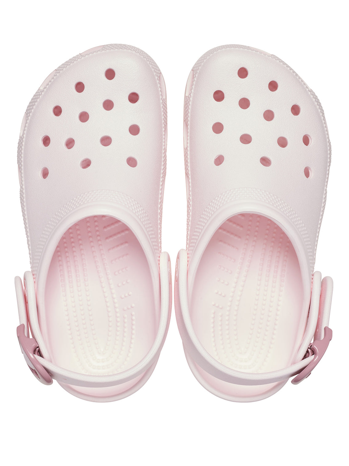 Zueco Unisex Classic Buckle Clog Rosa Suave Crocs